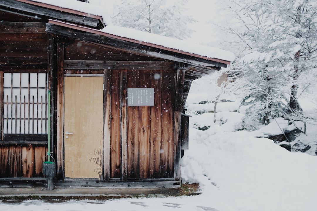 The Bathhouses Worth Your Time — Japan travel