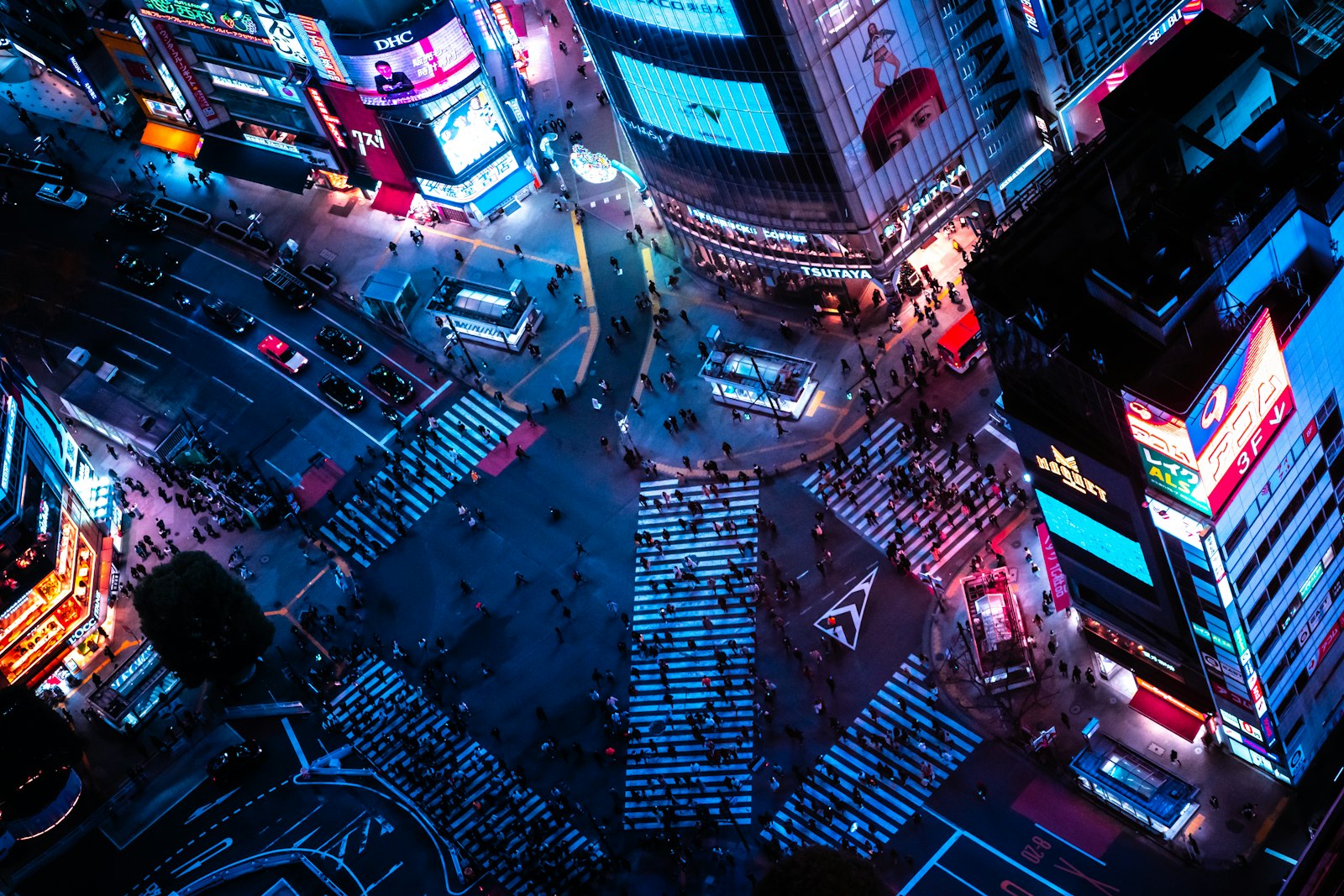 :shibuya crossing aerial pedestrians neon