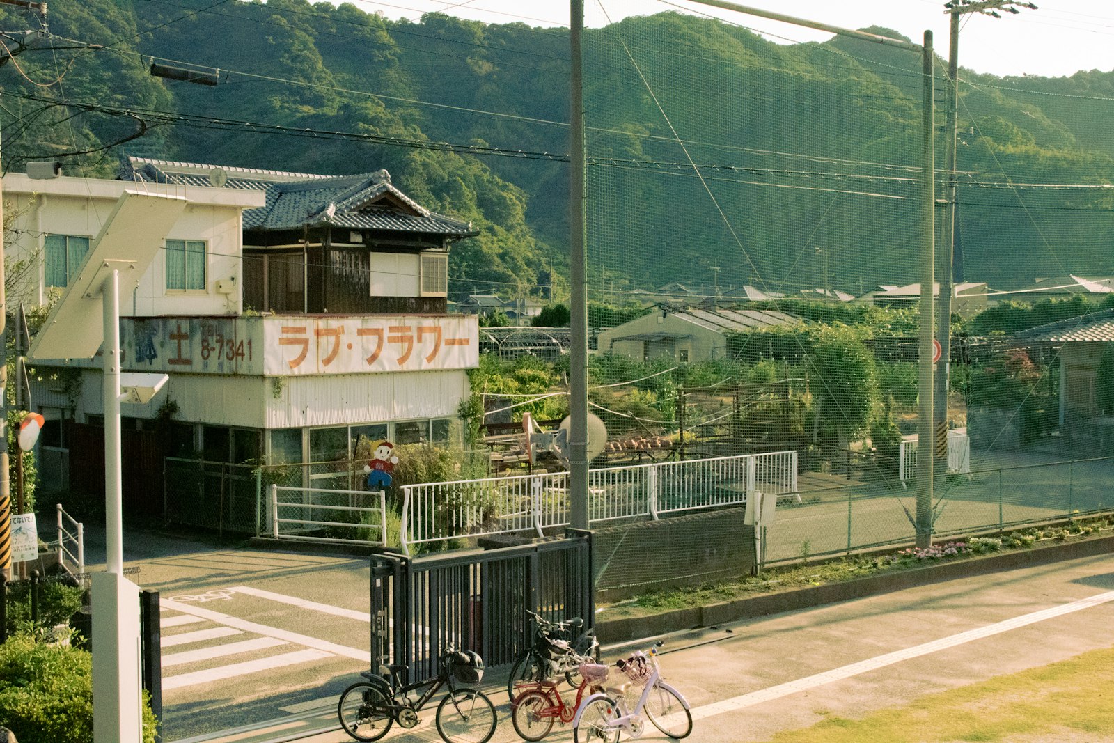 Introduction — Japan travel