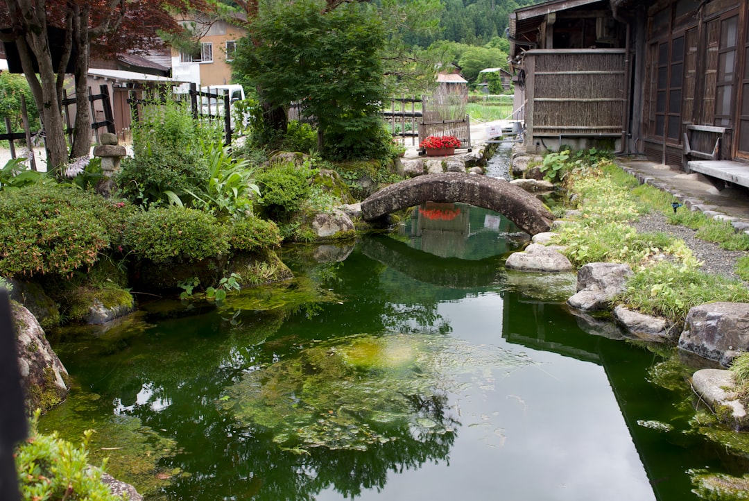 ：clear spring pond and thatched farmhouse at oshino hakkai below mount fuji