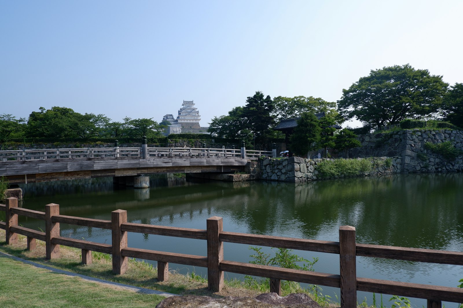 ：japan castle himeji white heron keep cherry blossom