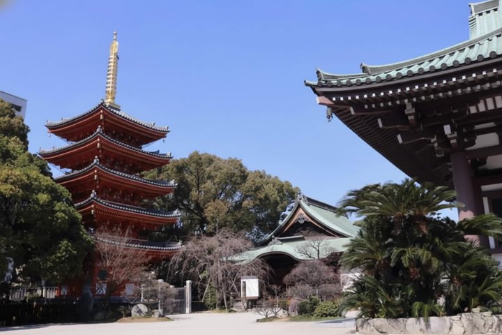 Fukuoka Private Custom Tour with Local Guide