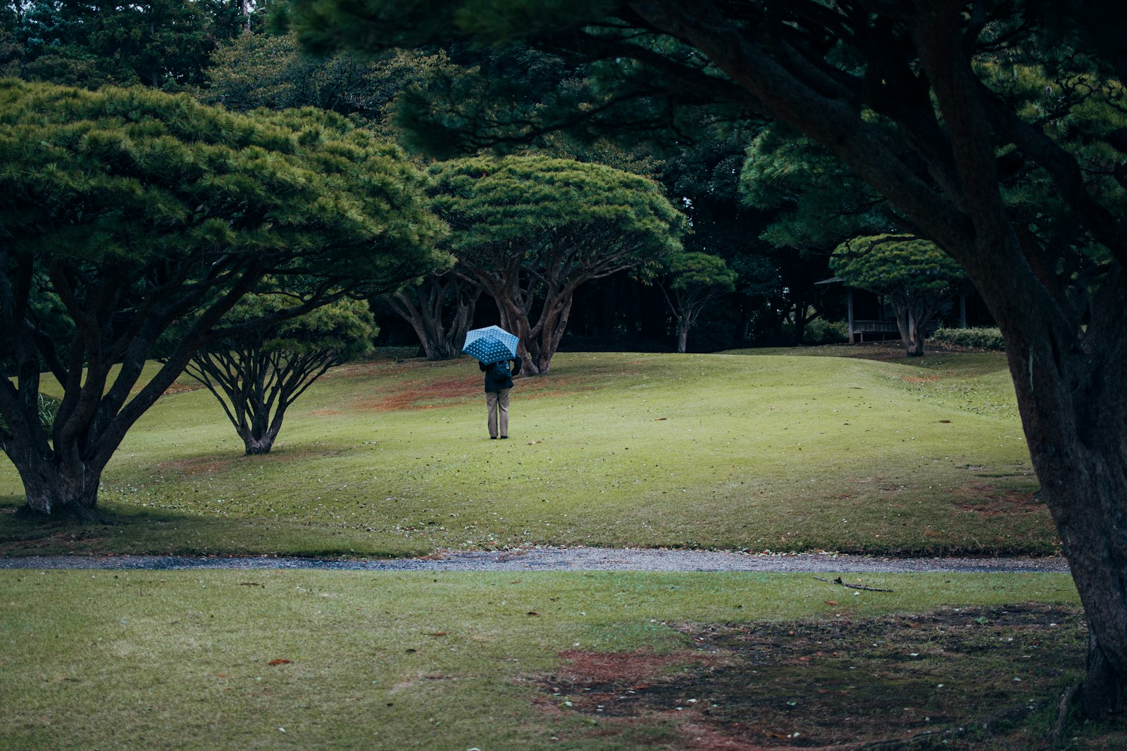 The Unique Appeal of Golf in Japan — Japan travel
