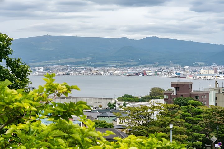 Hakodate/Hokkaido Private Tour with Local Guide