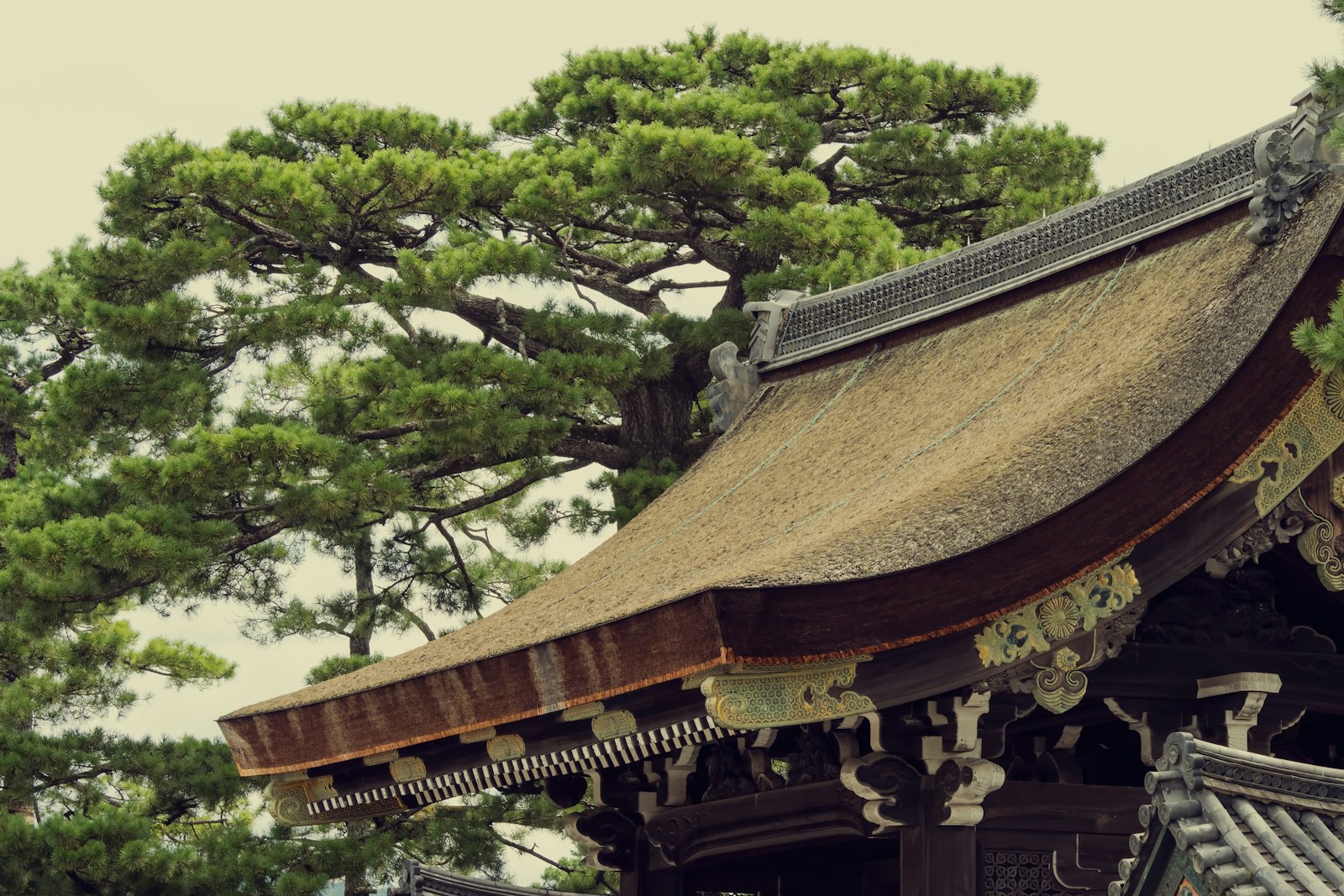Omotesando: Tree-Lined Luxury — Japan travel