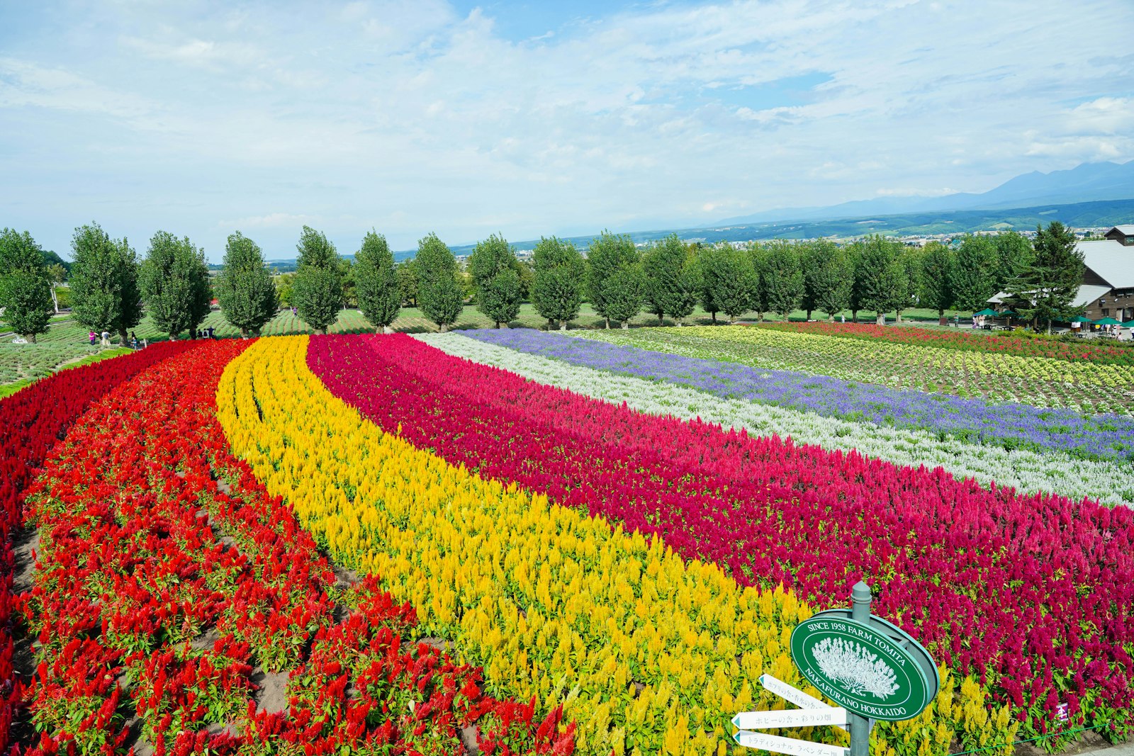 Savoring Hokkaido's Rich Harvests — Japan travel