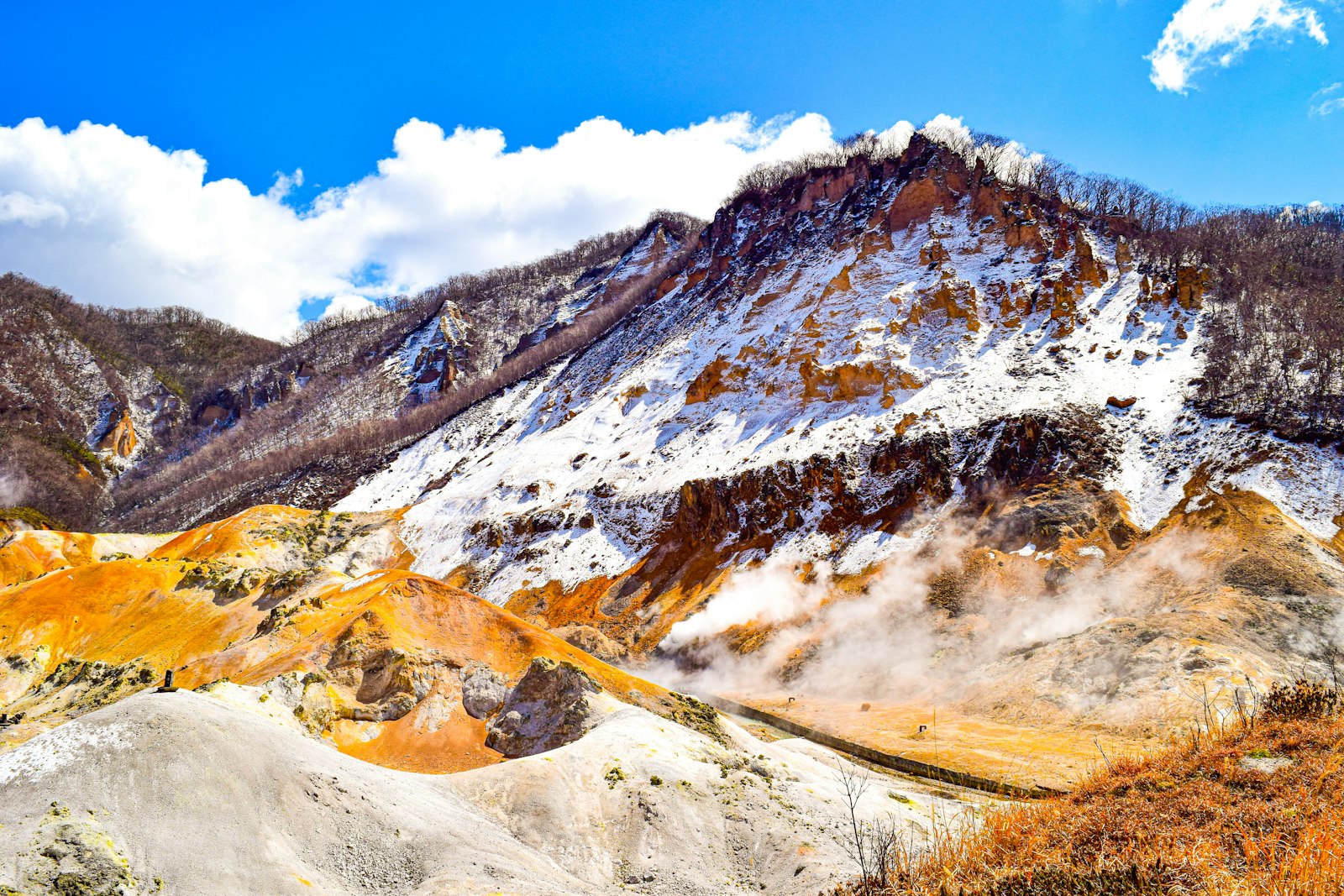 a mountain covered in snow and brown grass