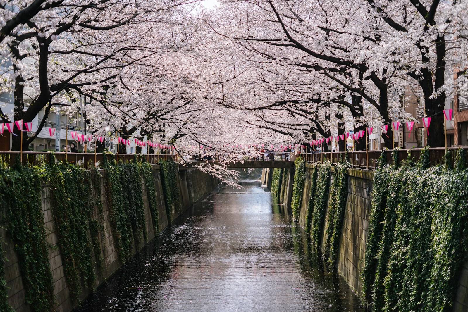 The Shared Showers and Baths — Japan travel