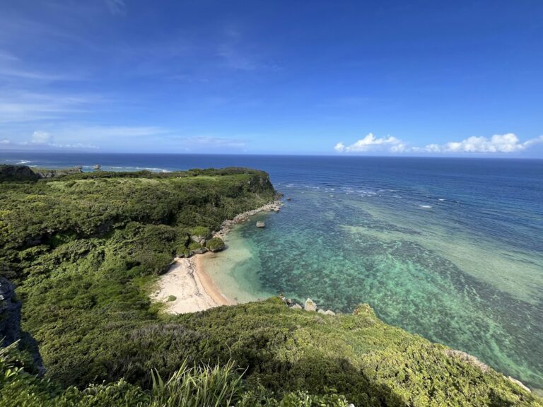 Lush green cliff overlooking a clear blue ocean cove