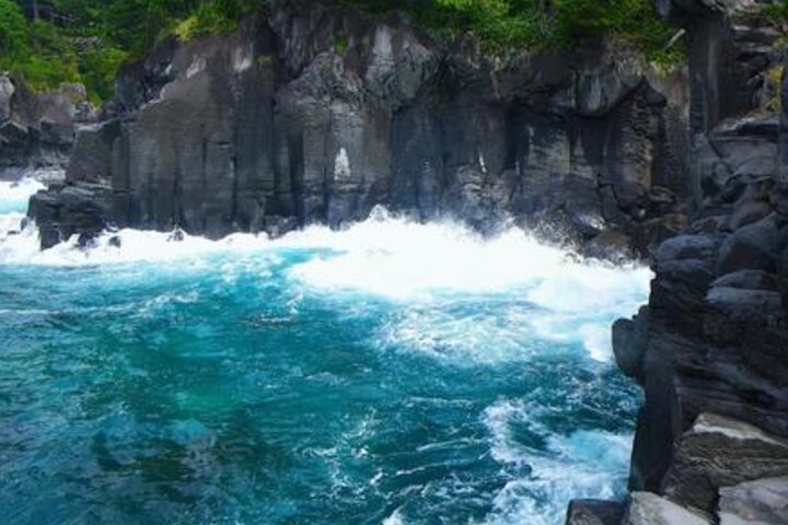 From Tokyo: Private Day Trip to Izu & Shimoda, Shizuoka