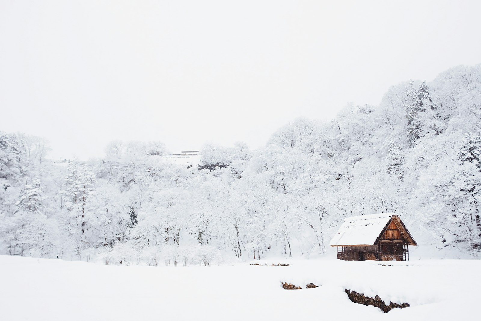 ：Shirakawa-go japan countryside winter