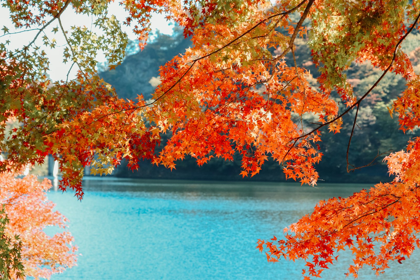 Why October Is the Month Many Travelers Prefer — Japan travel