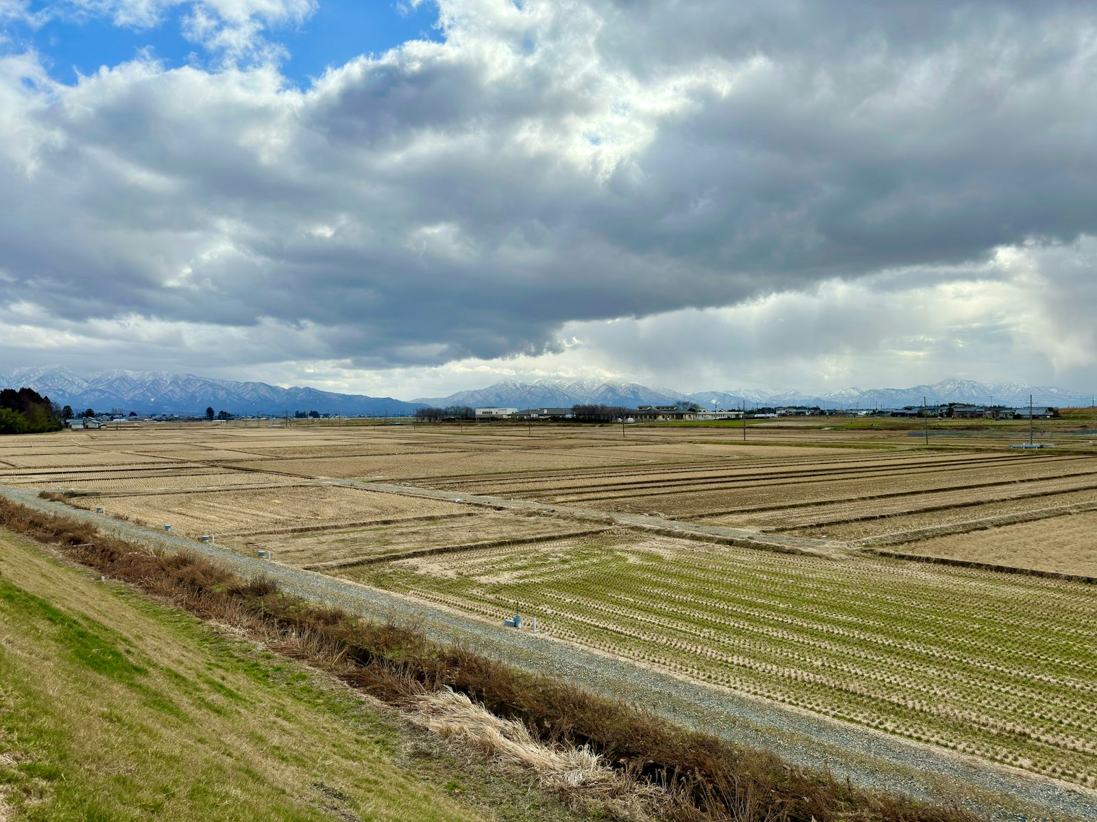 ：japan rice terraces autumn october hoshitoge niigata