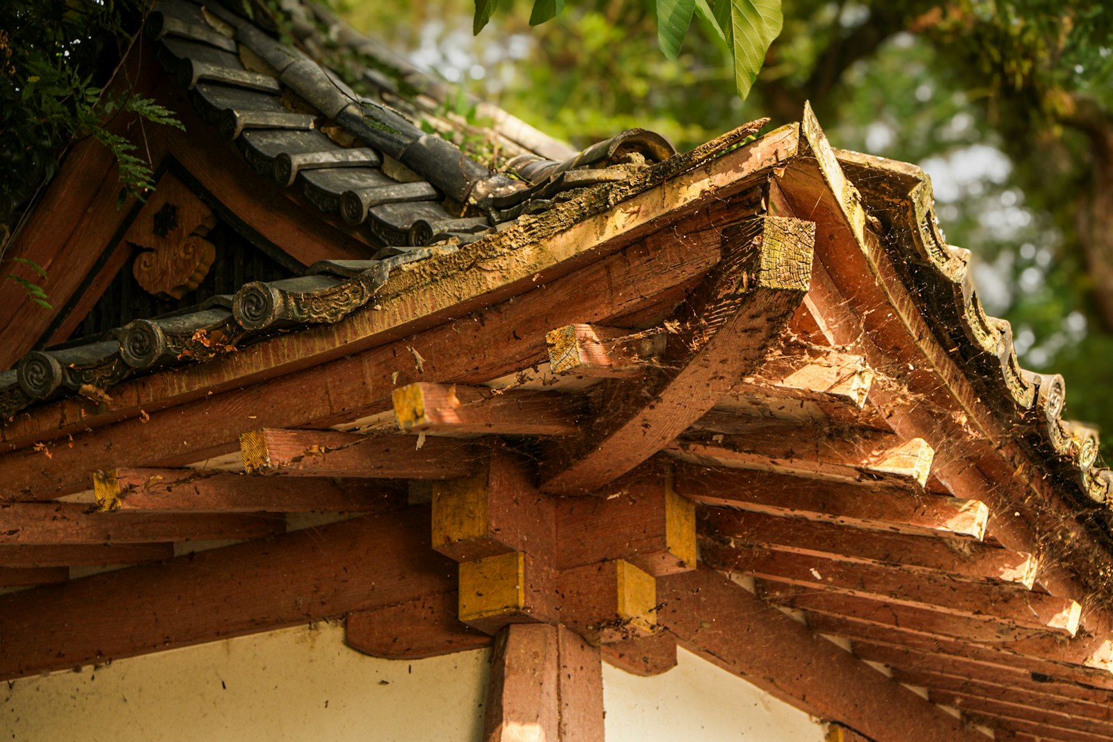 The weathered wooden eaves and dark tiled roof of a traditional Japanese building
