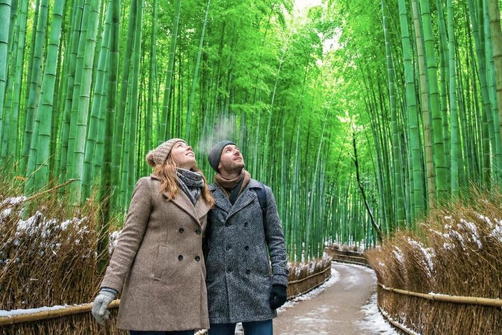 Tokyo: Private Customized Tour with Local Guide
