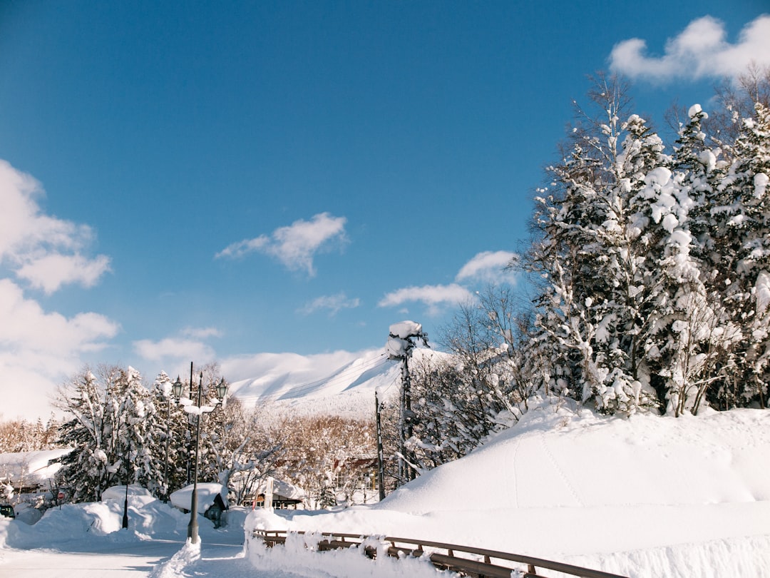 The Skiing — Japan travel