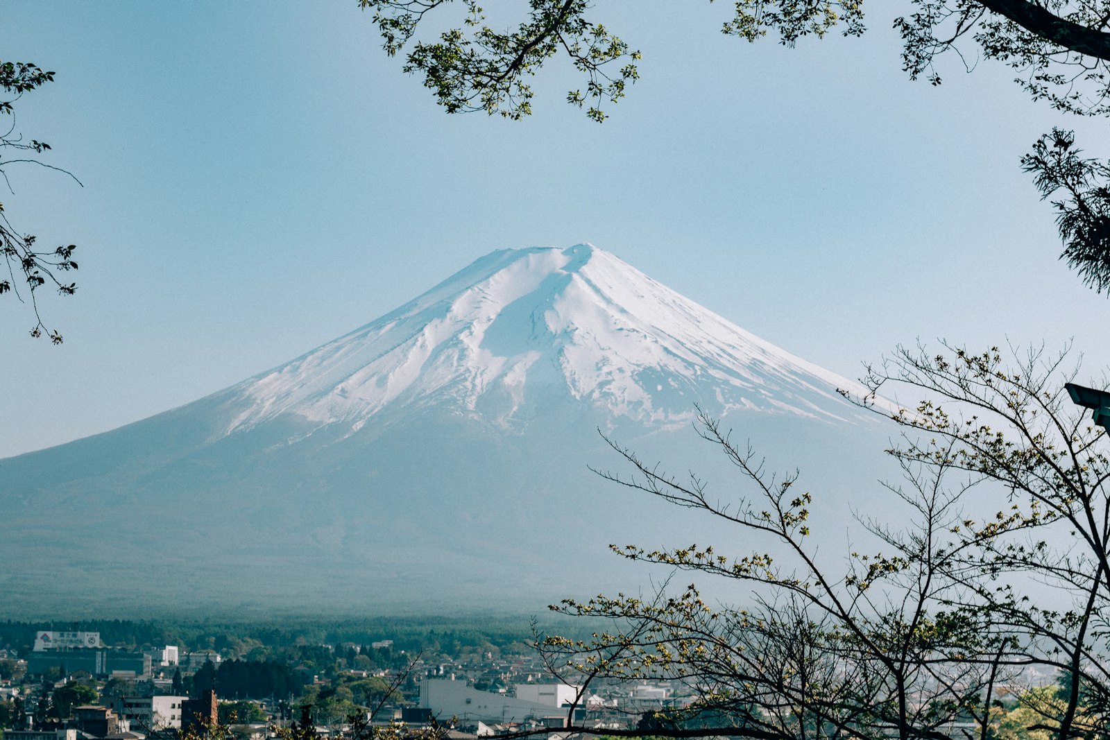 Mount Fuji rising above a town in Fujinomiya, Japan, framed by tree branches