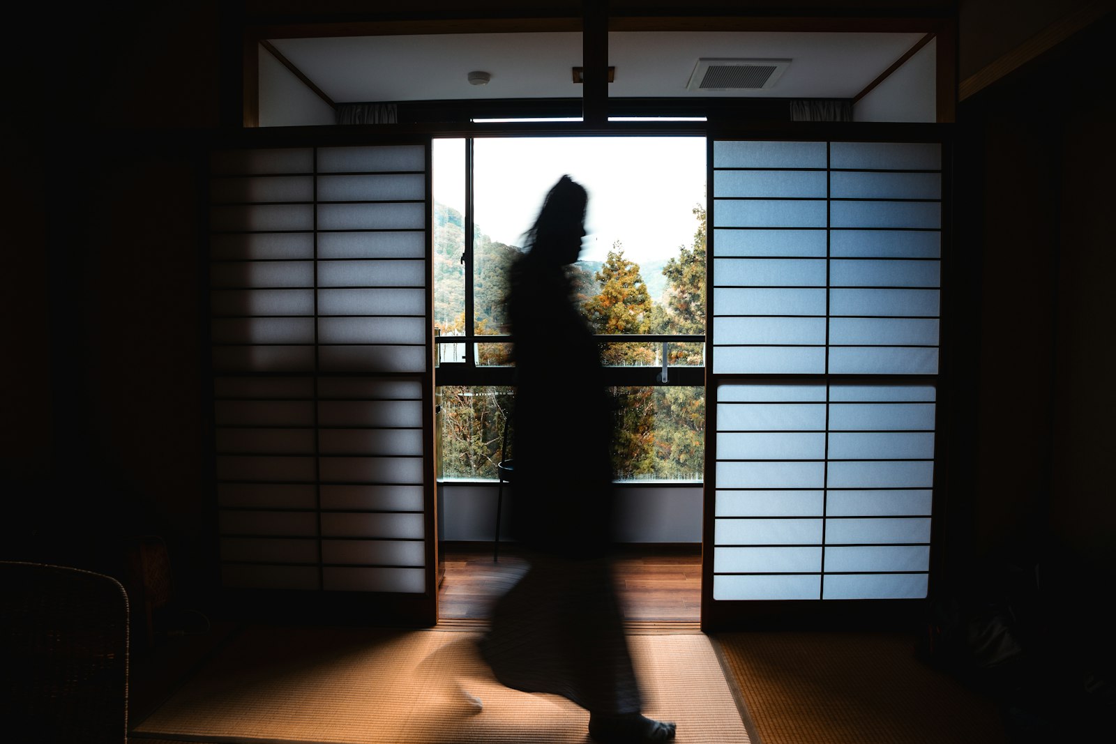 Tatami and Sliding Doors — Japan travel