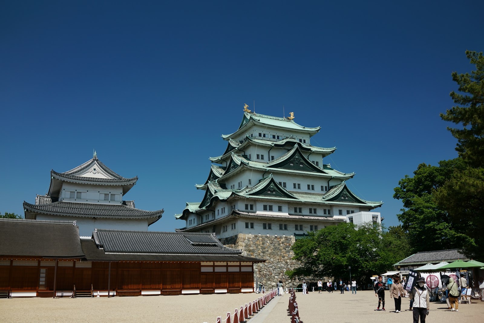 ：things to do in nagoya castle golden shachihoko