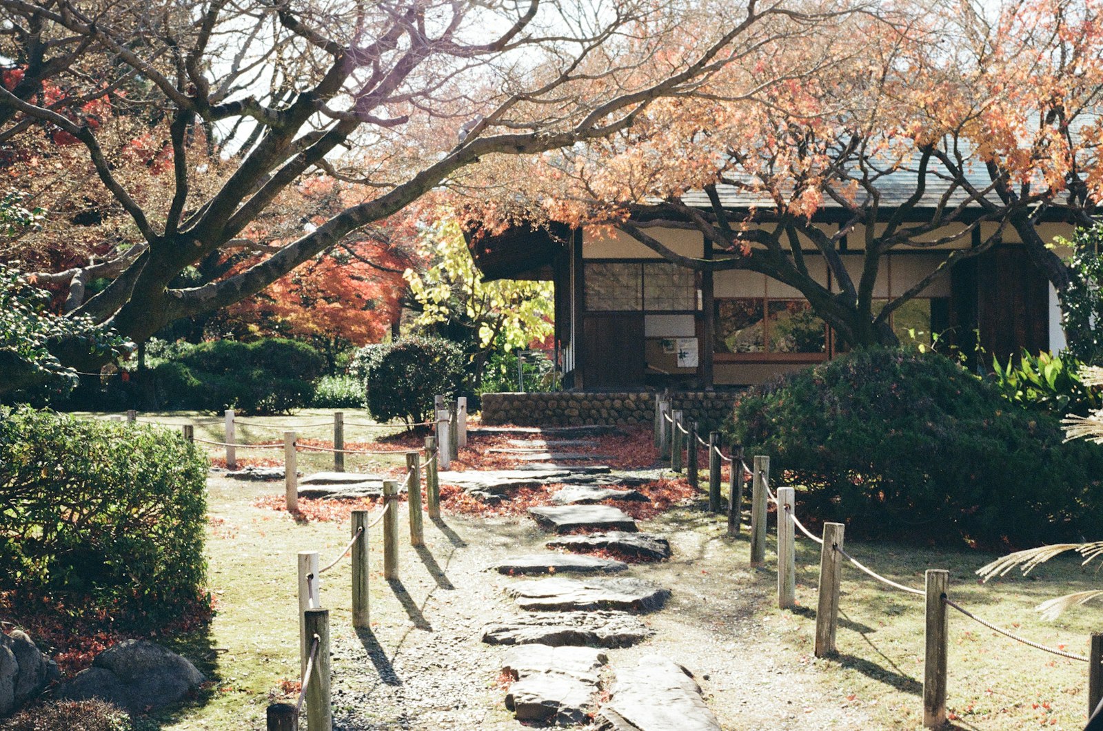 ：atsuta jingu shrine forest path nagoya