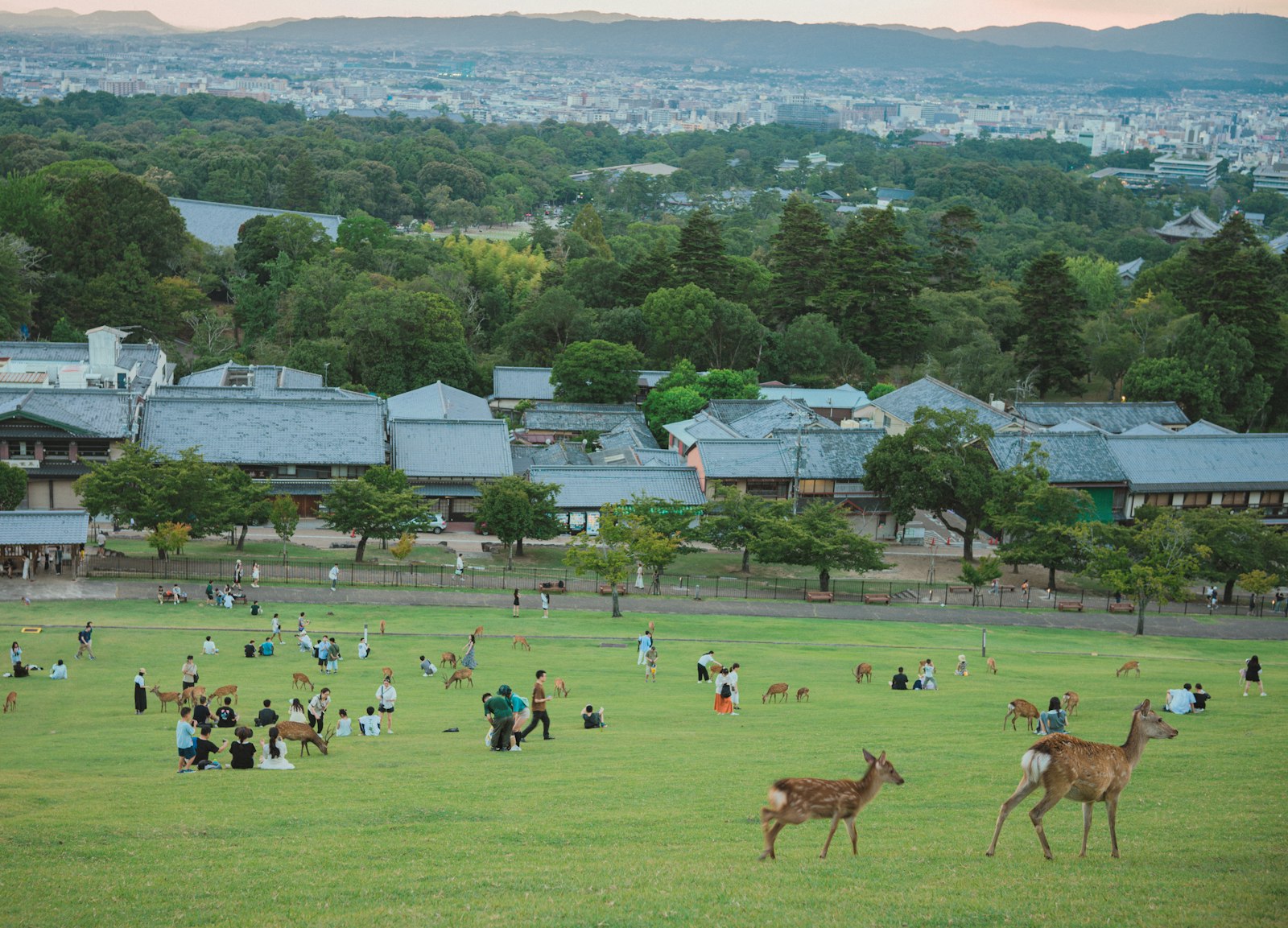 Beyond the Main Park — Japan travel