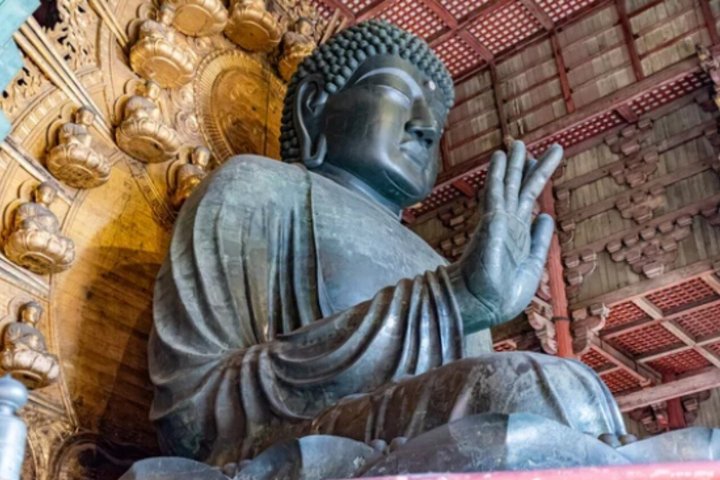 Nara Private Custom Tour with Local Guid