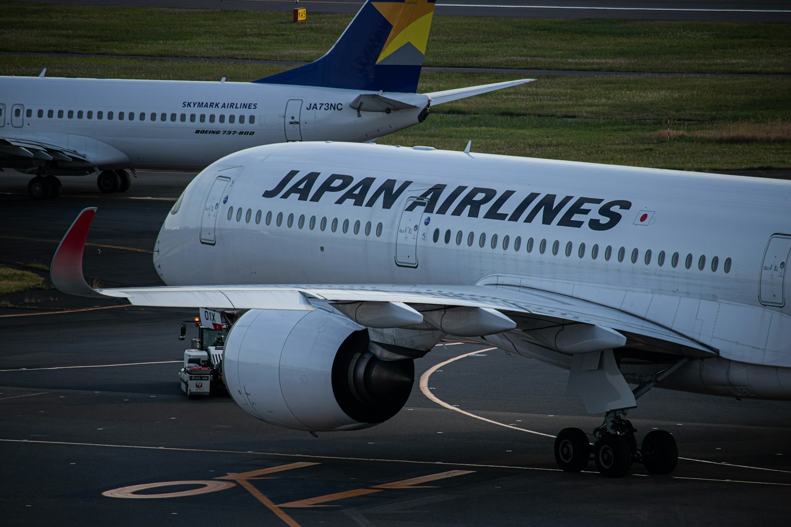 Filling Out the Customs Declaration — Japan travel
