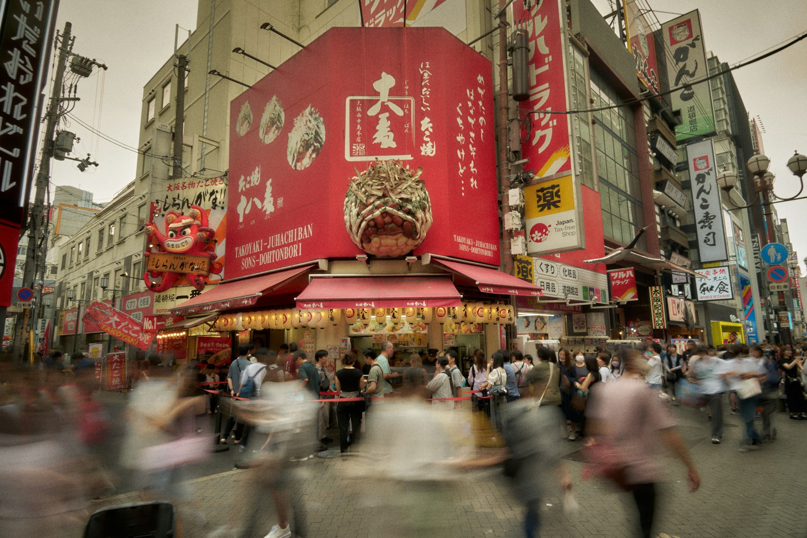 :osaka takoyaki dotonbori street food