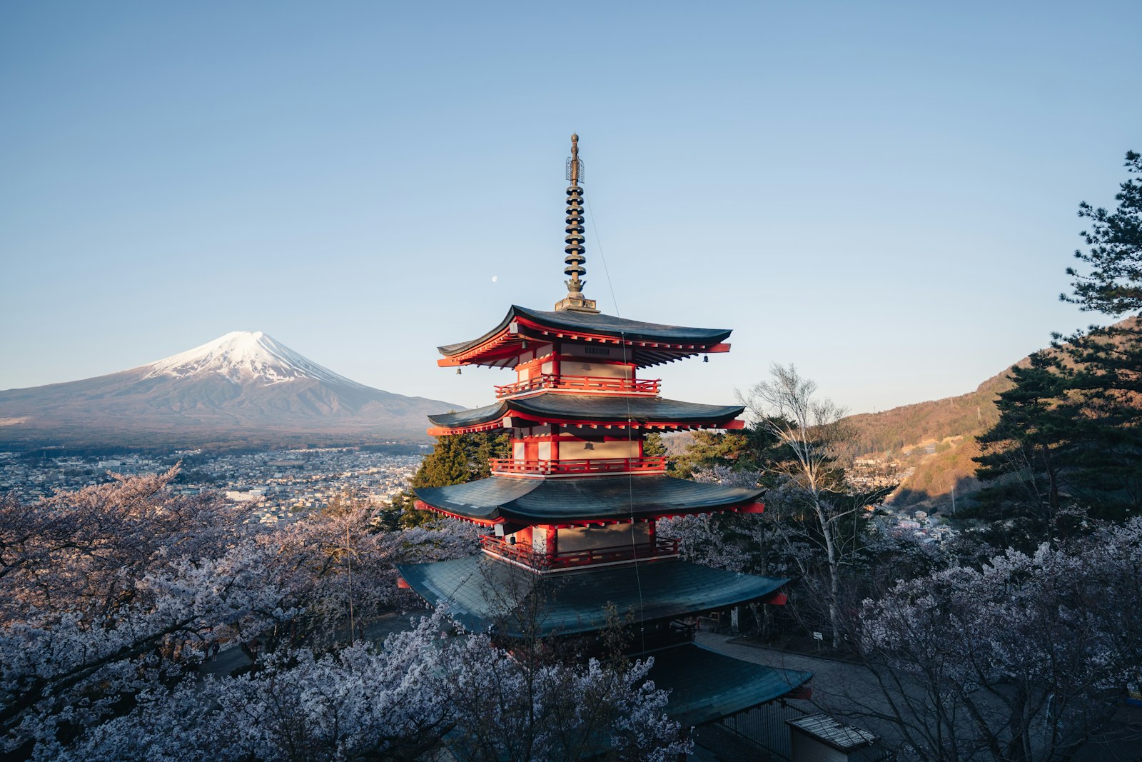 The Original Twelve Surviving Castles — Japan travel