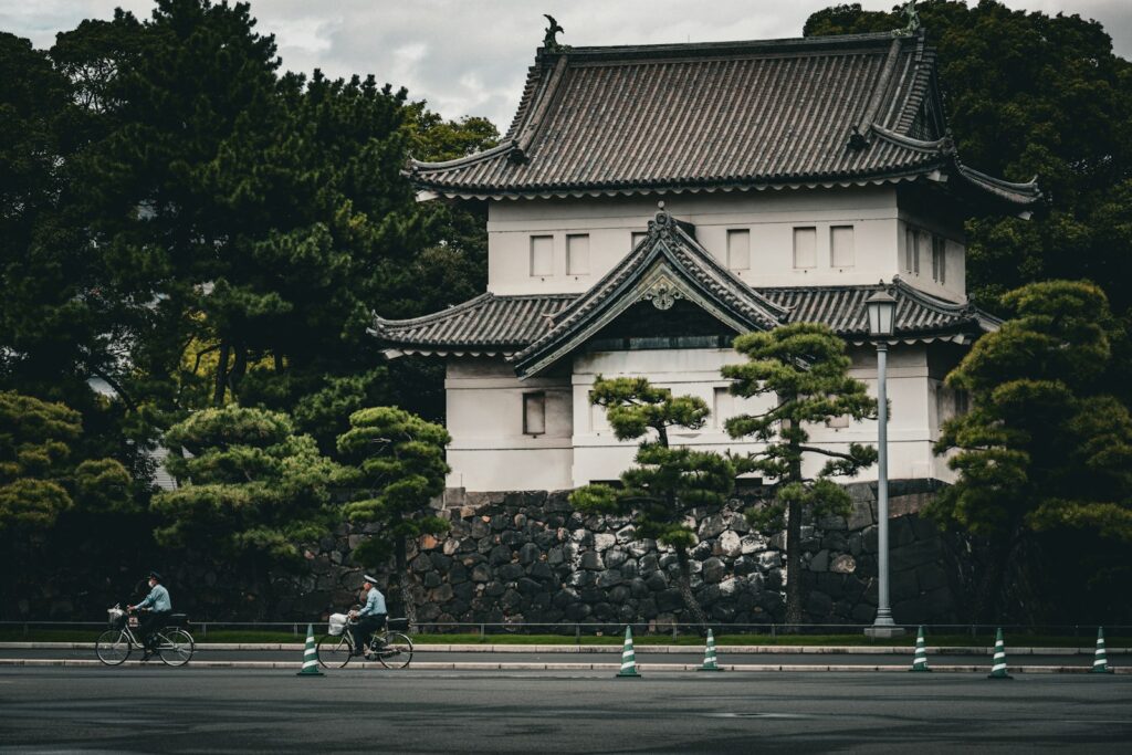The Three Shinkansen Services: Choosing Your Speed and Budget