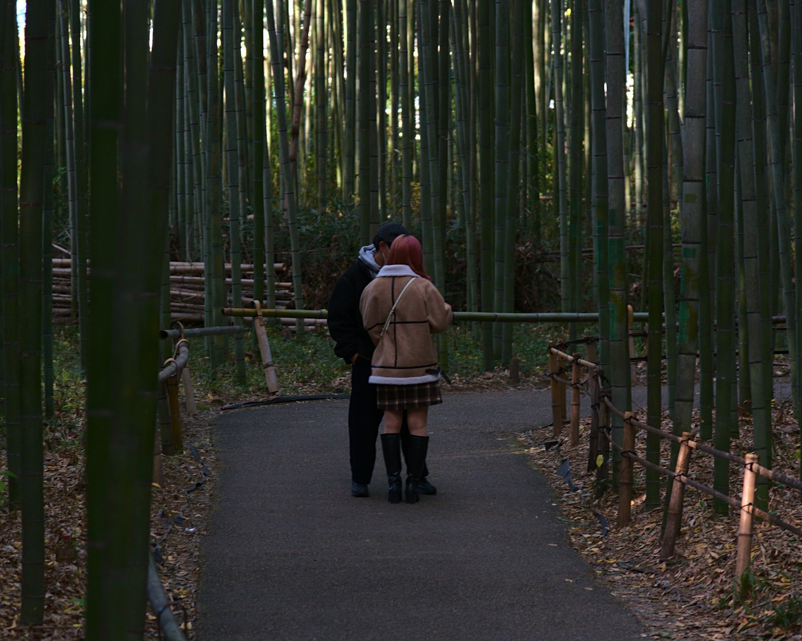 ：japan honeymoon arashiyama bamboo grove kyoto couple