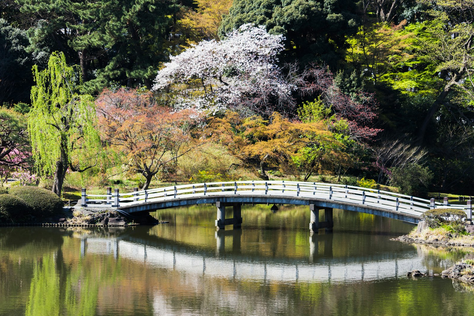 Feudal History and Serene Nature in the City Center — Japan travel