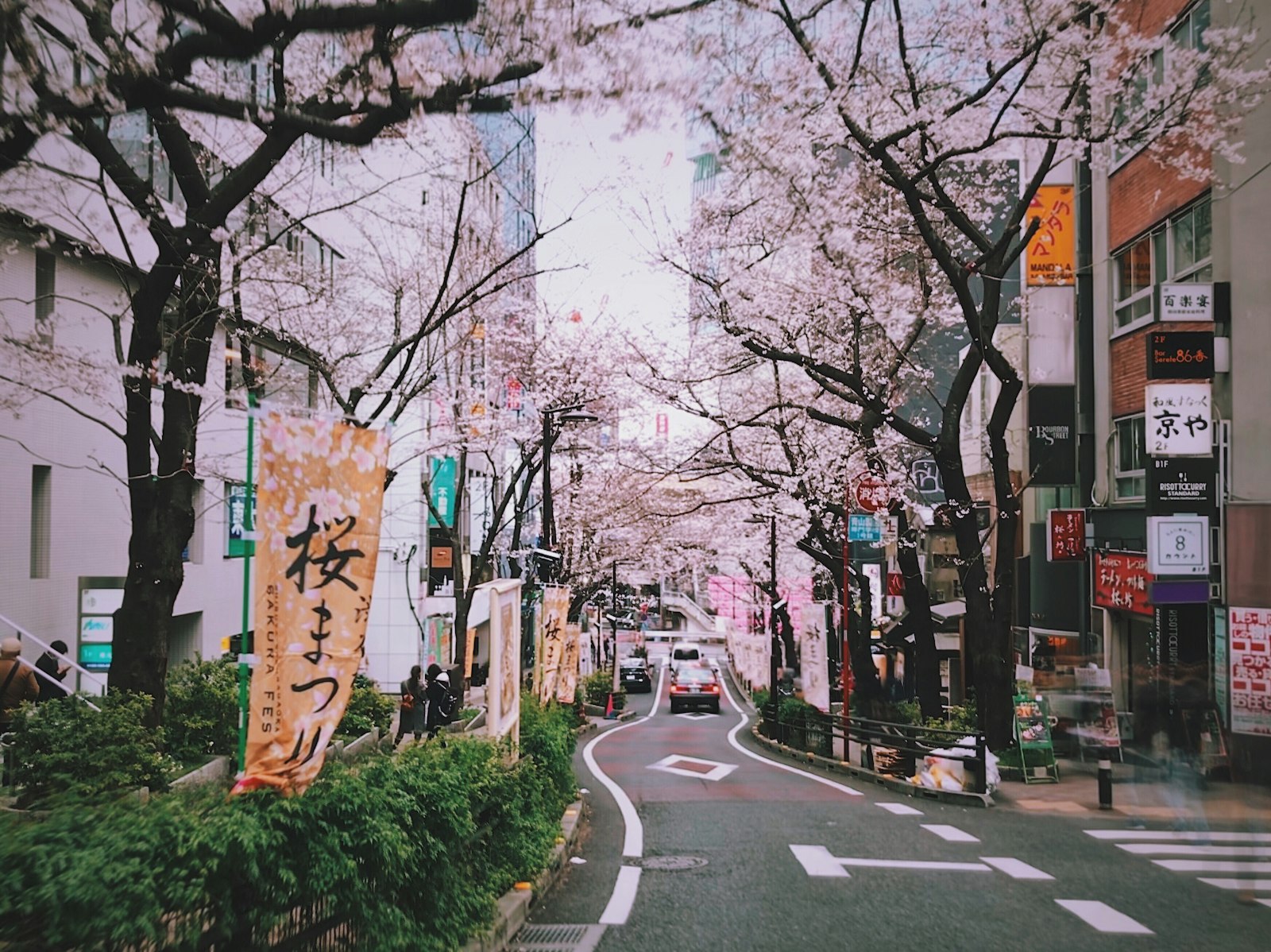 The City of Trees — Japan travel