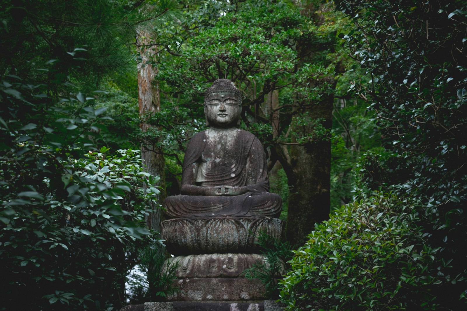 :japan temple todai-ji great buddha nara bronze statue