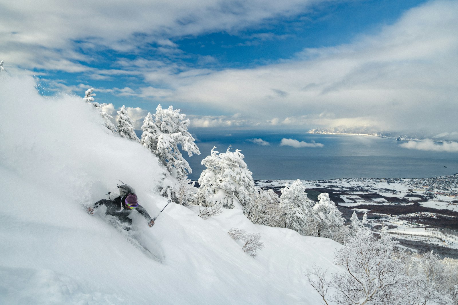 :japan ski resorts powder snow tree run