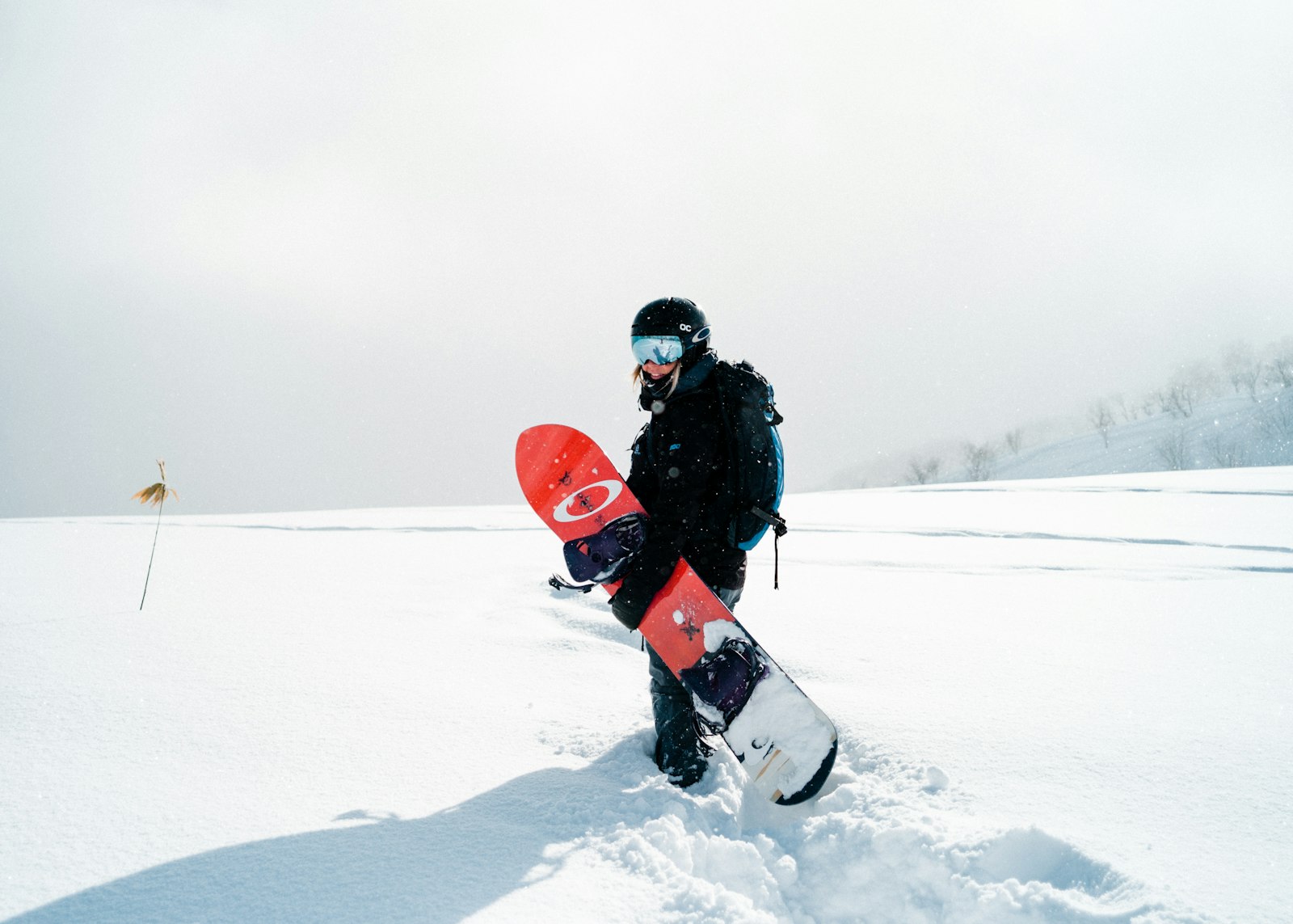 :snowboarding in japan deep powder tree run