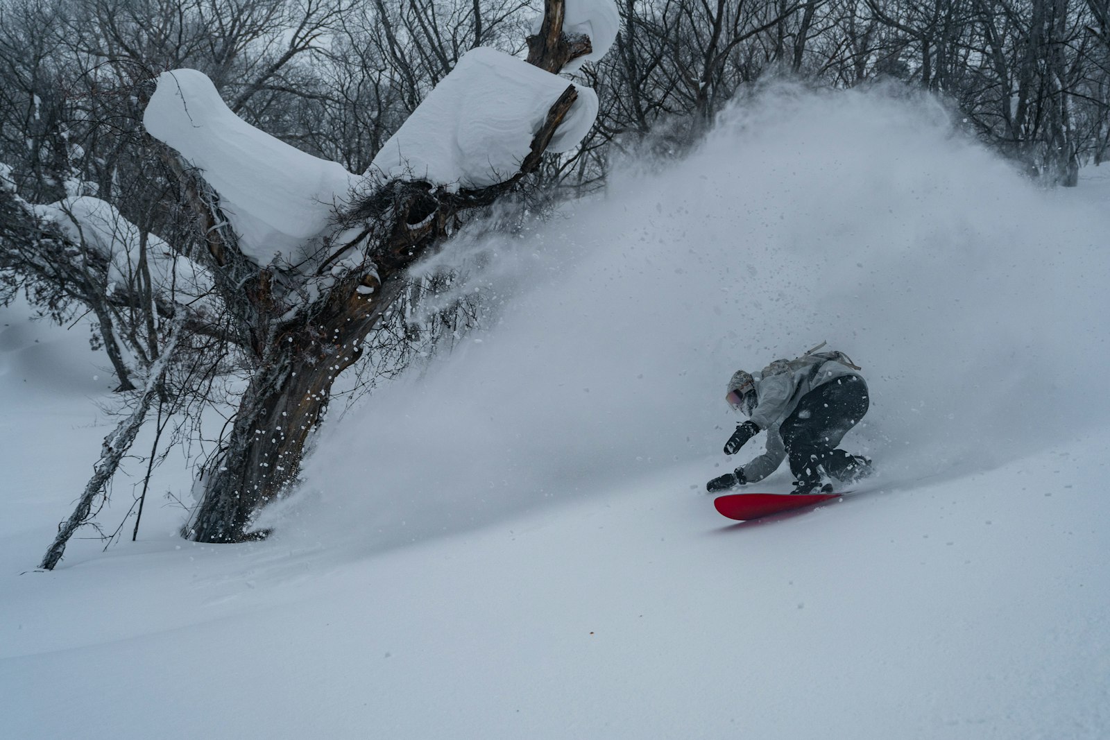 Choosing the Right Board for Deep Powder — Japan travel