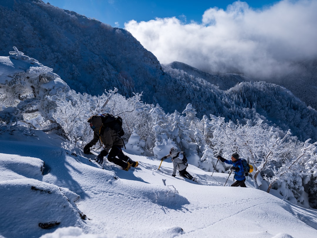 :powder skiing through trees at nozawa onsen ski resort