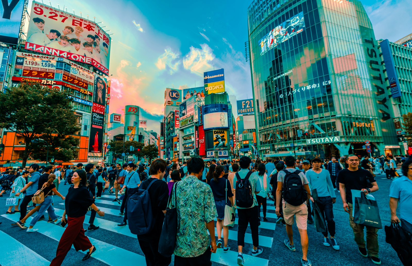 ：japan itinerary 10 days tokyo shibuya crossing neon