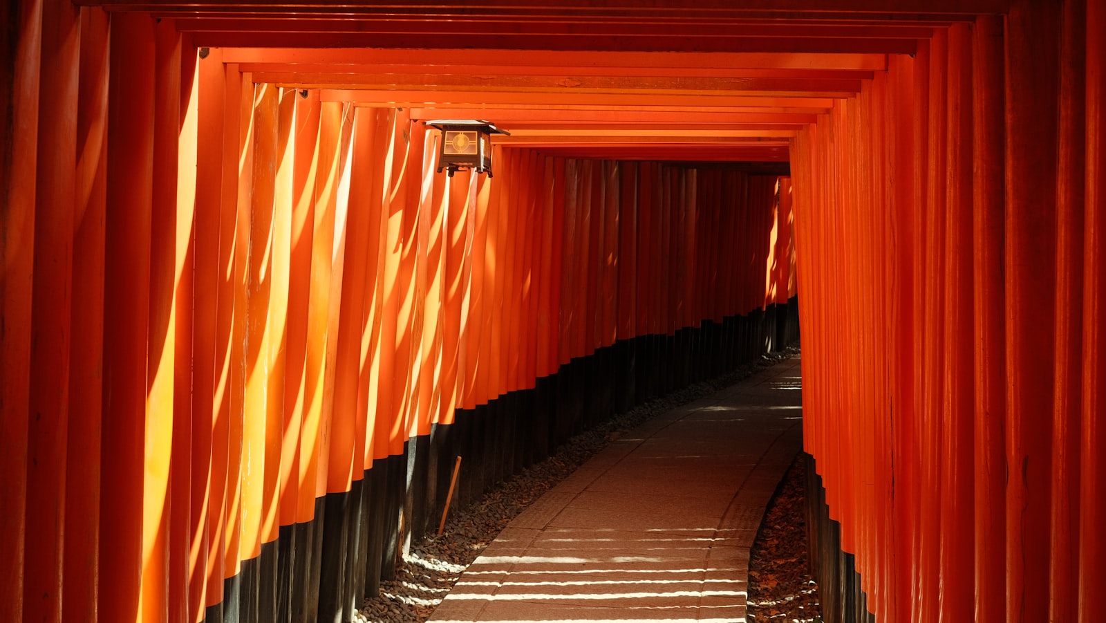 ：kyoto fushimi inari torii gates 10 day japan itinerary