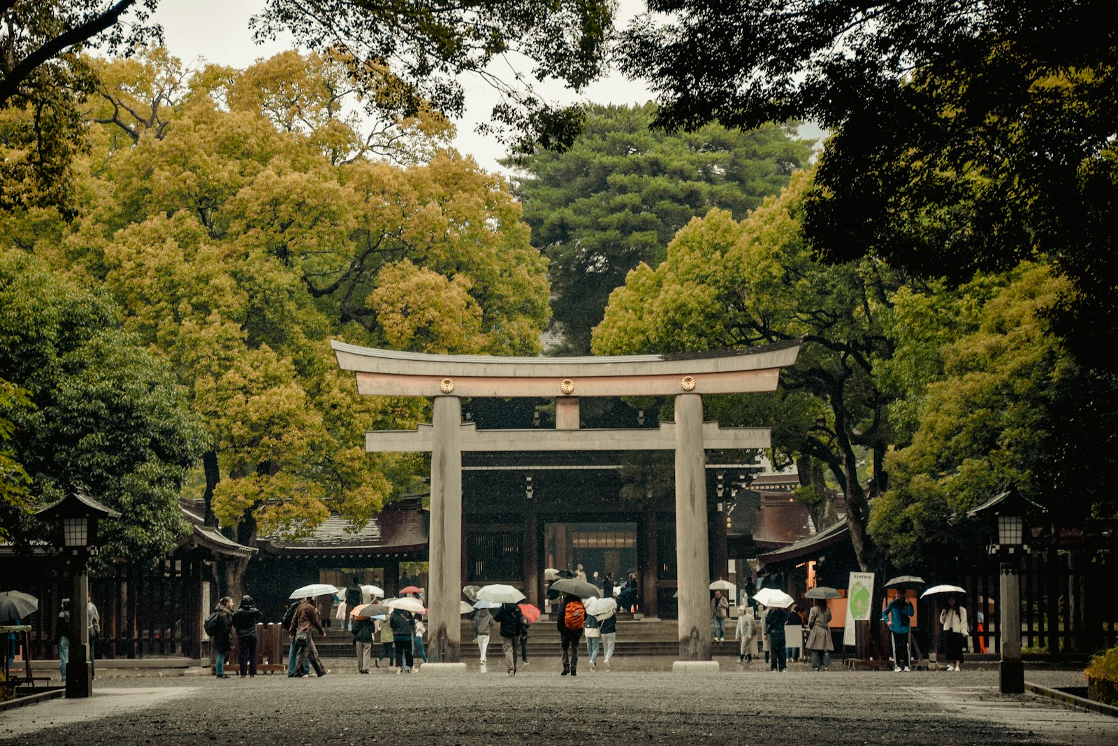 ：bowing in japan shrine etiquette torii gate