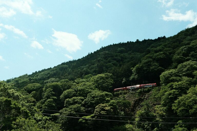 Scenic train journey through a verdant mountain landscape