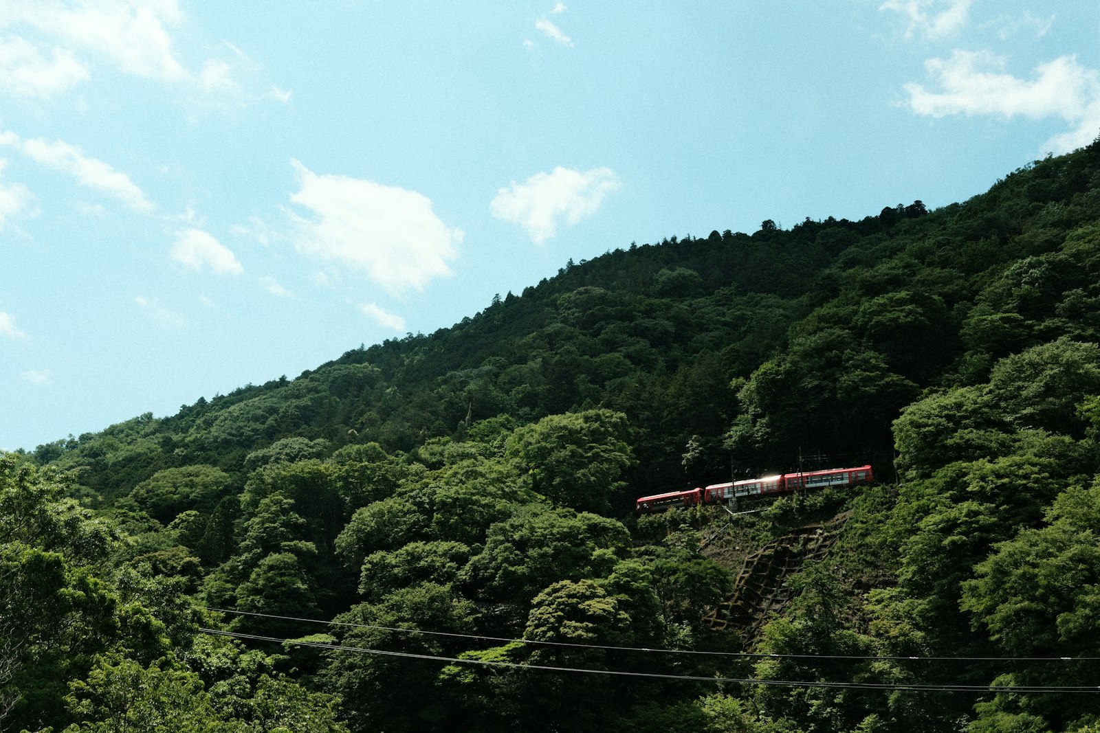 Scenic train journey through a verdant mountain landscape