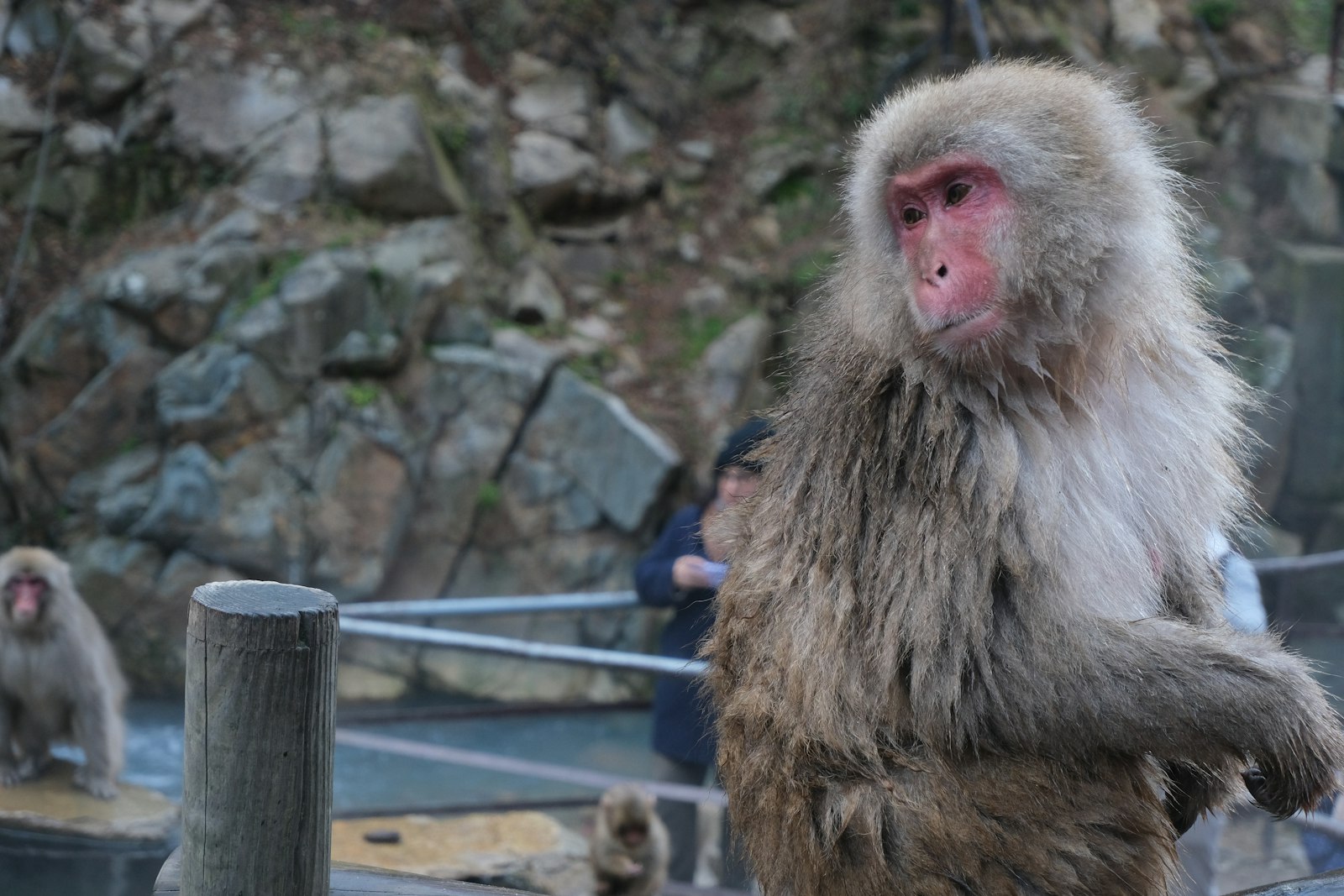 Japan's Best Onsen Towns
