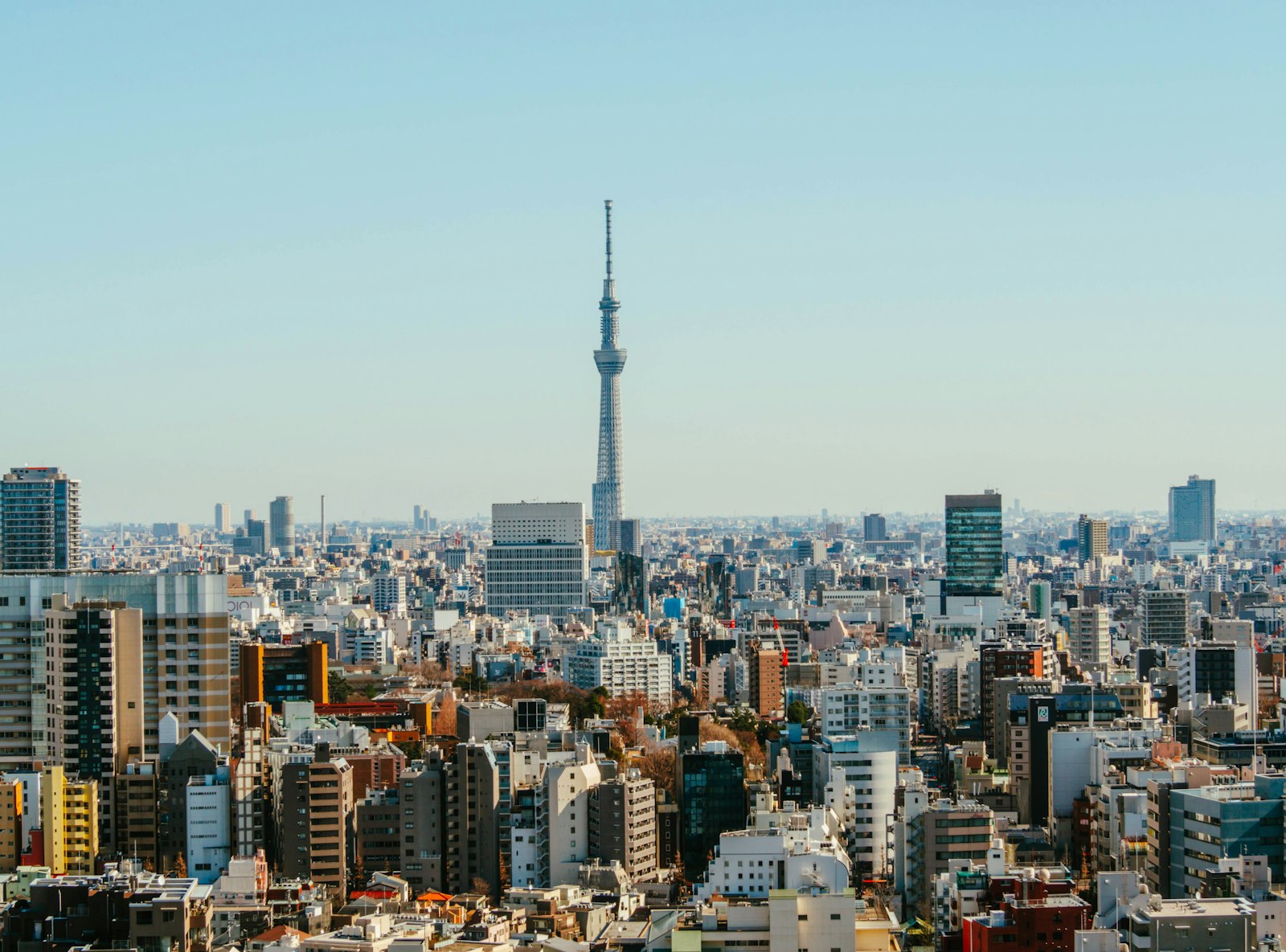 The Course — Japan travel