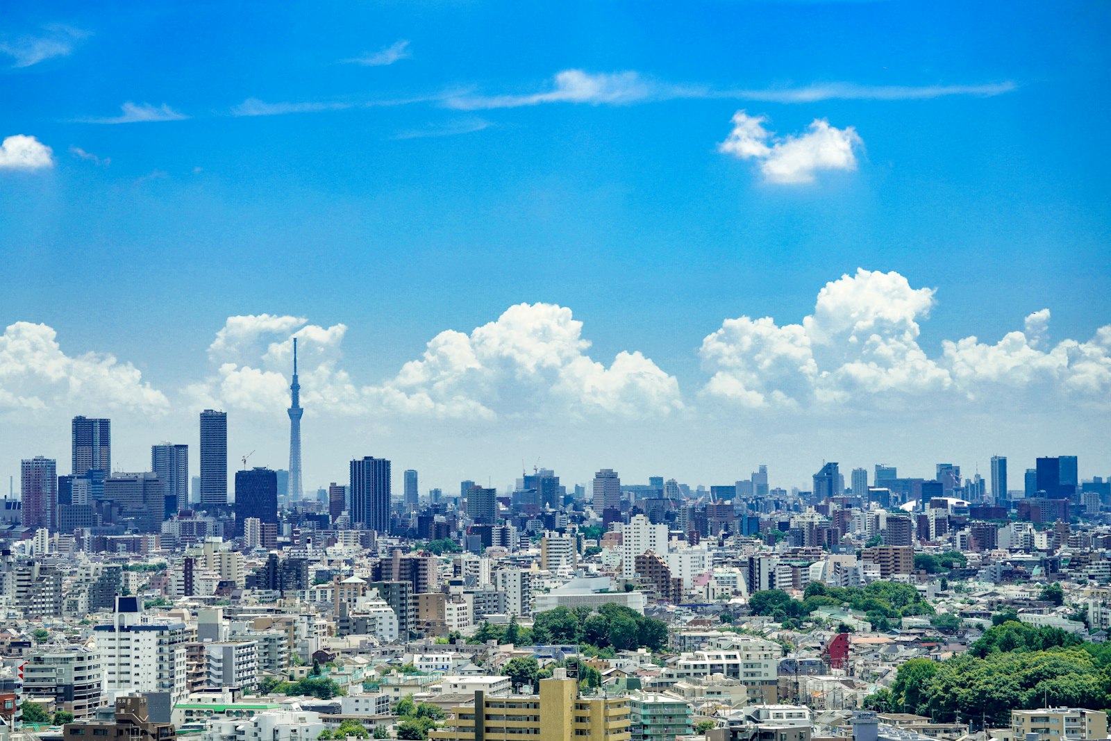 The Retail Map: Tokyo's Main Districts — Japan travel