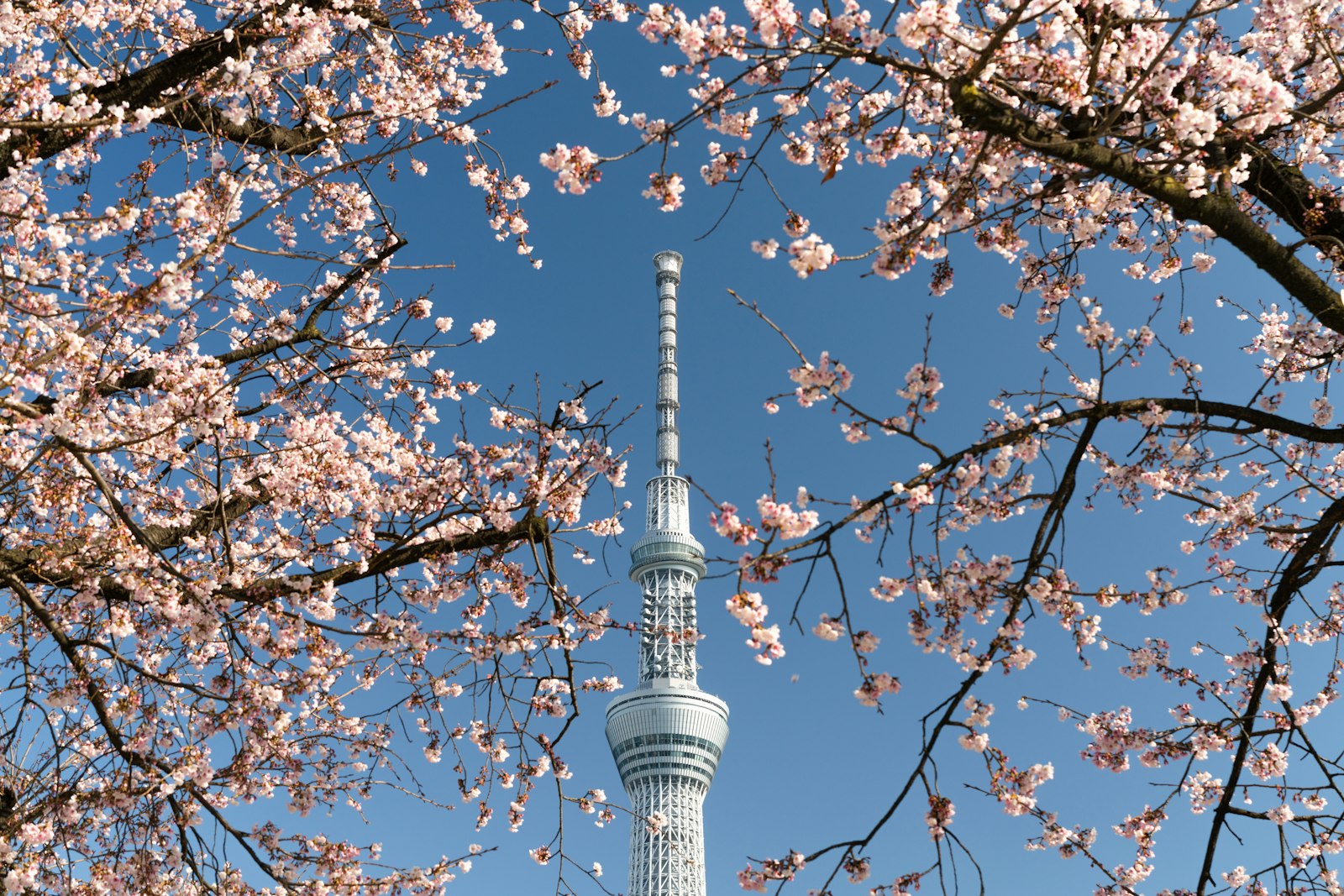 The Engineering of Tokyo Skytree — Japan travel