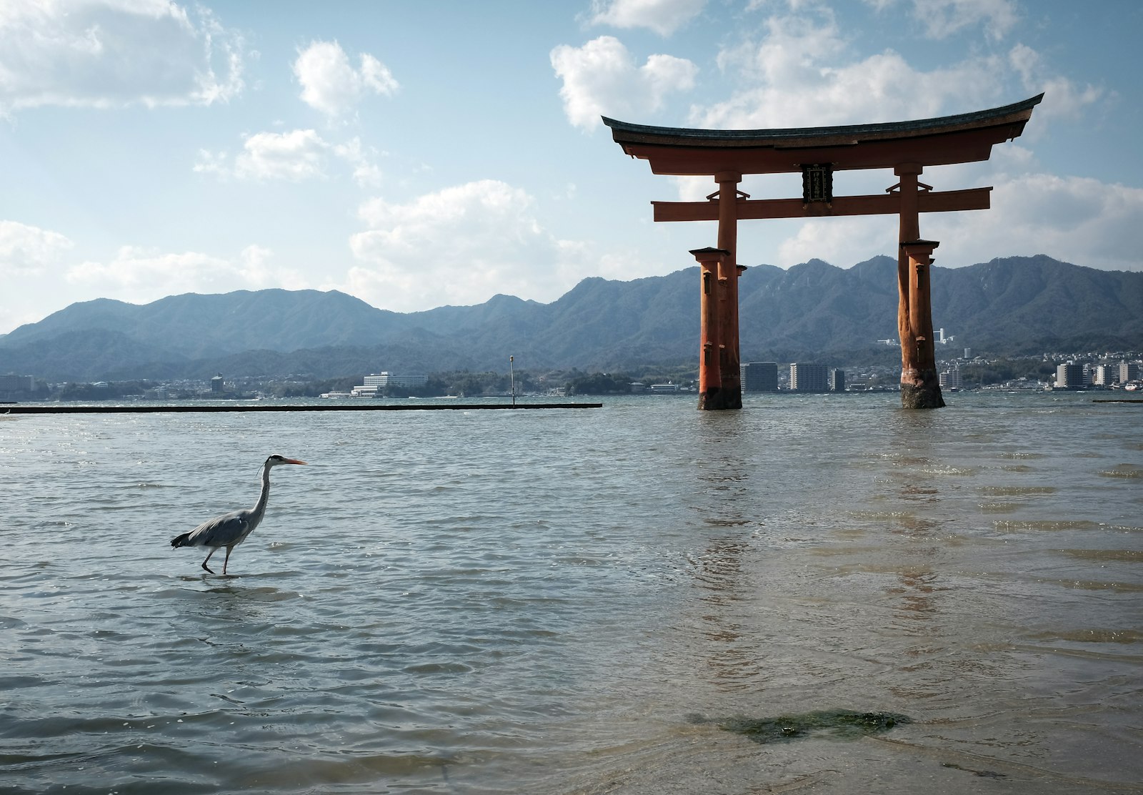 ：itsukushima floating torii gate miyajima japan