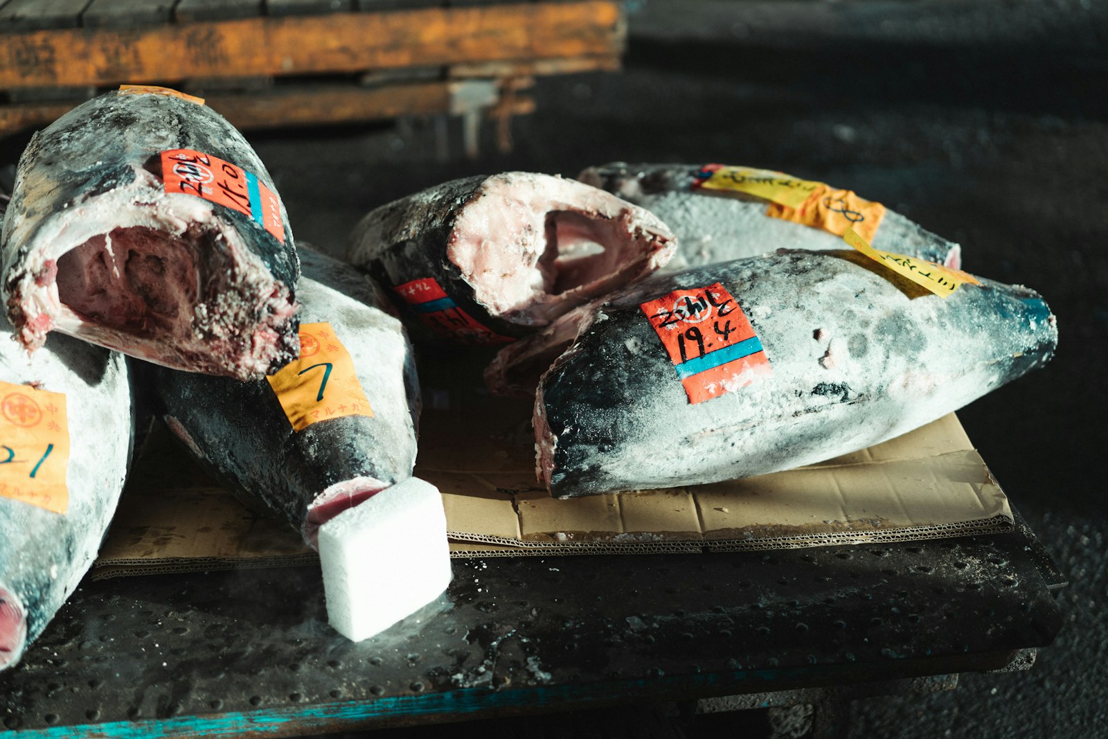 ：tsukiji fish market tour tokyo what to eat