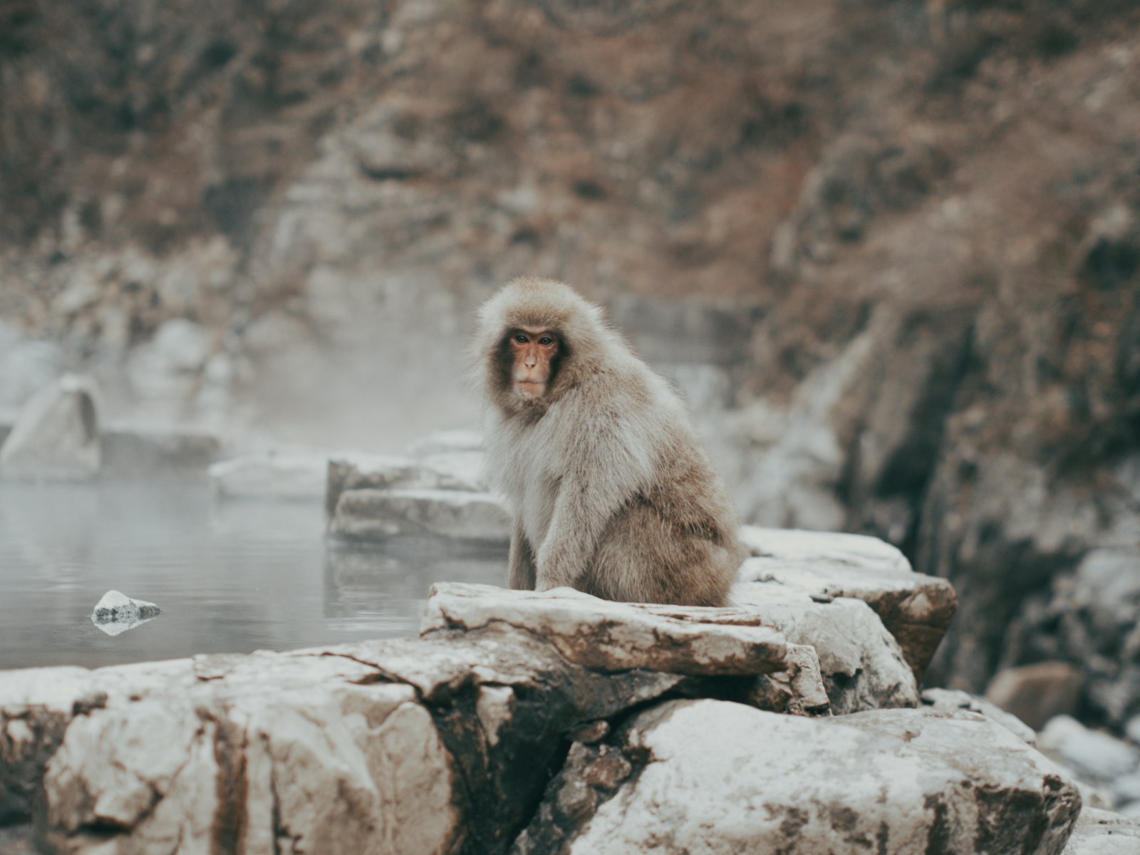 Rules for Safety and Welfare — Japan travel